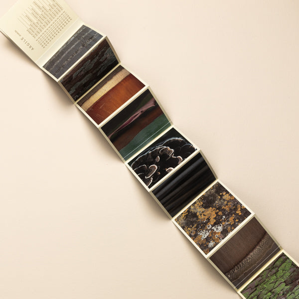 Free colour charts