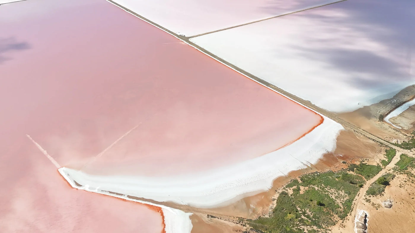 SALINAS