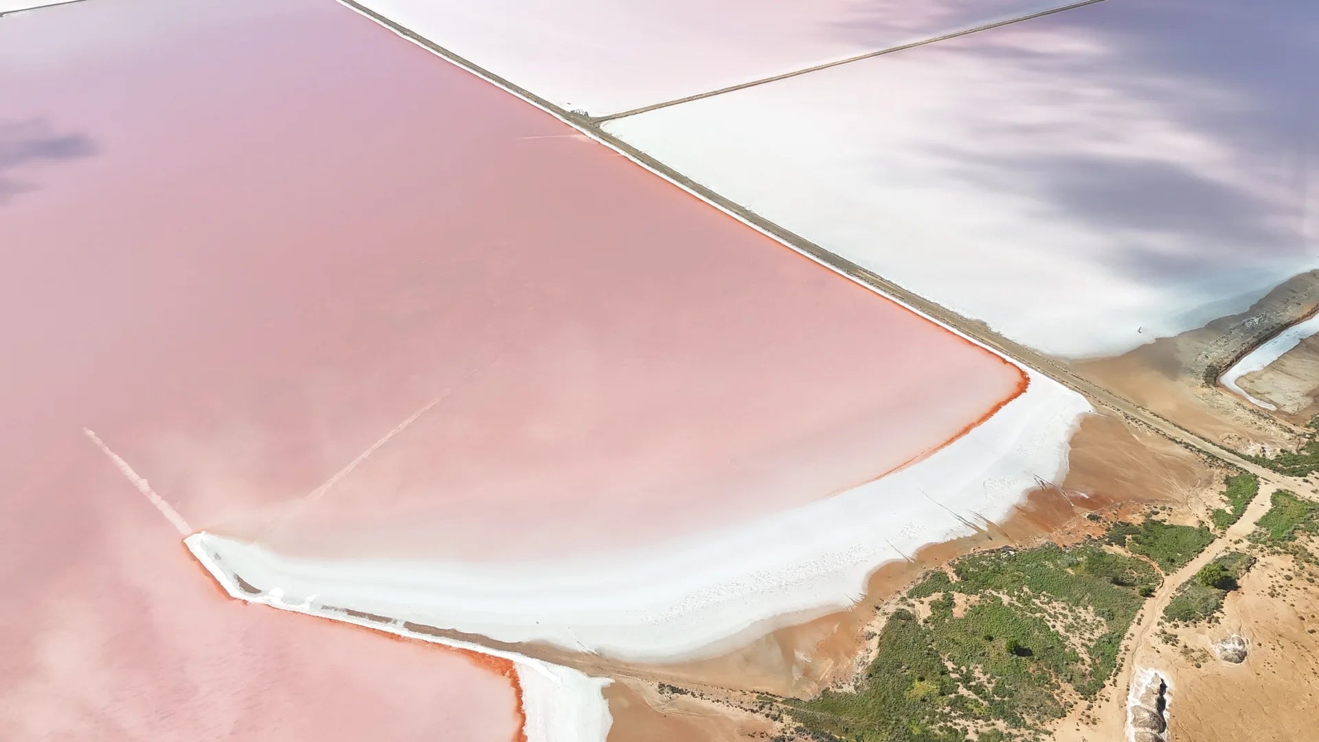 SALINAS