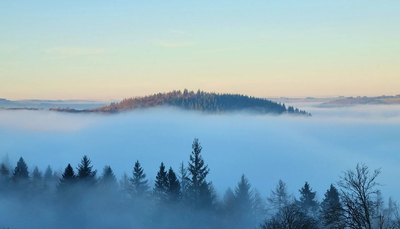 BRUME