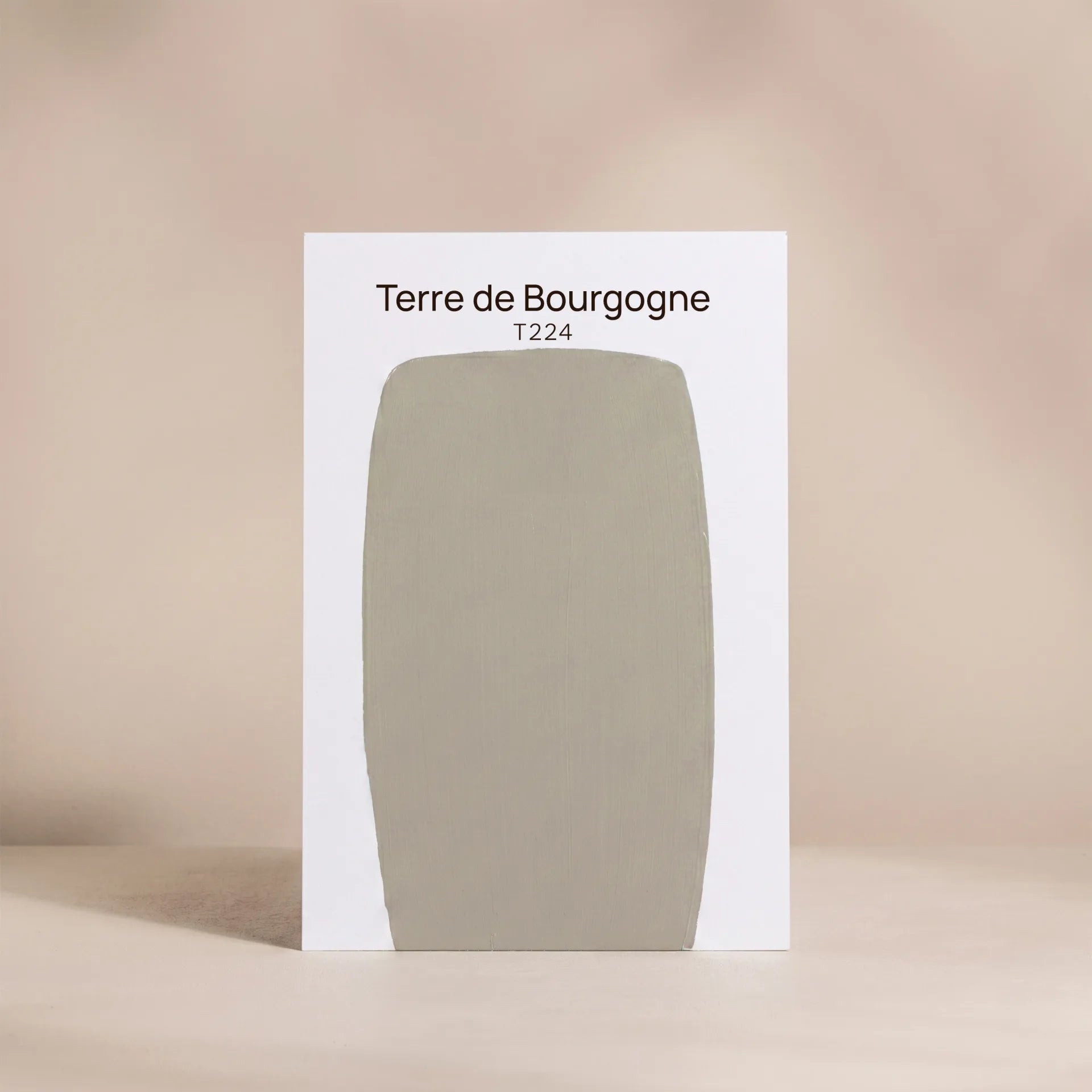 TERRE DE BOURGOGNE