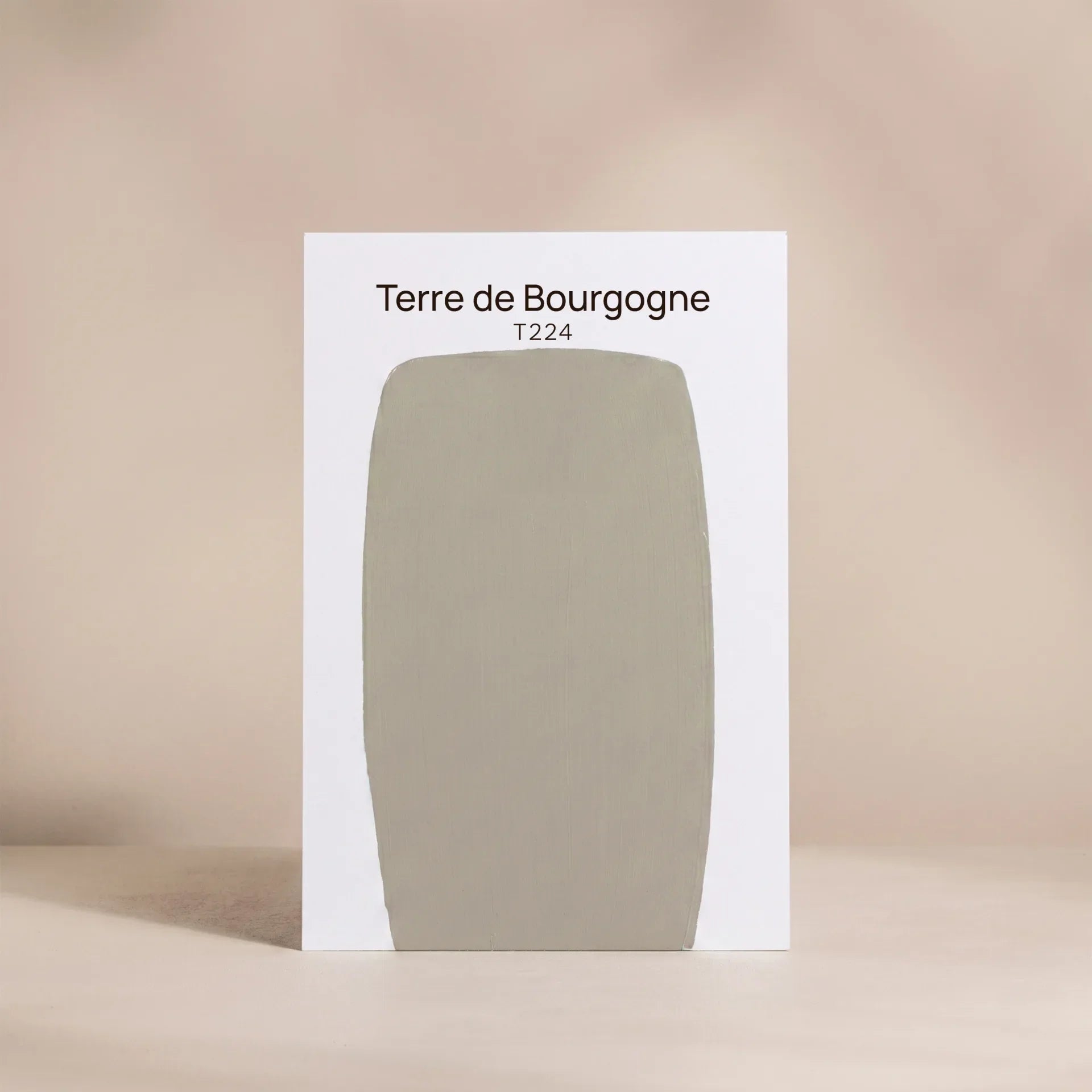 T224