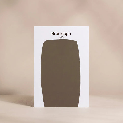 BRUN CEPE