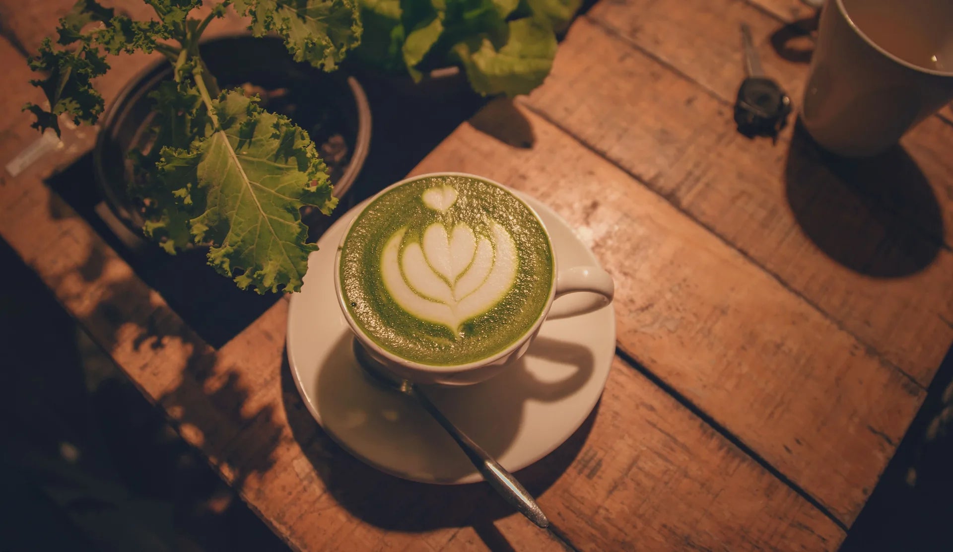 MATCHA