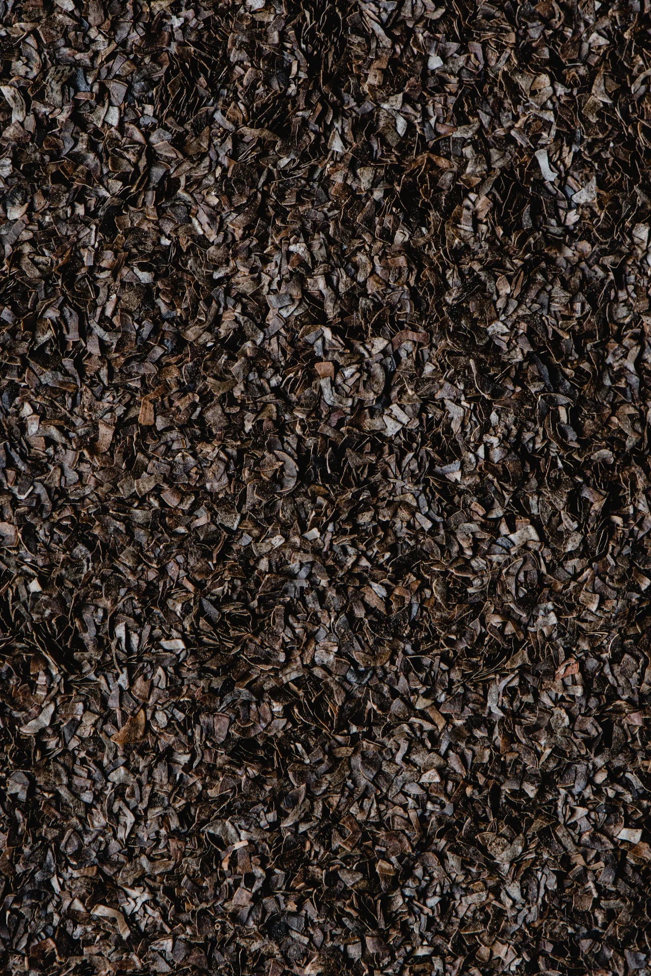 KOMBU BRUN